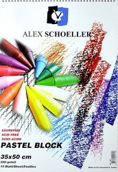 Alex Schoeller Pastel Blok 220gr 35x50cm 15yp - Alex Schoeller