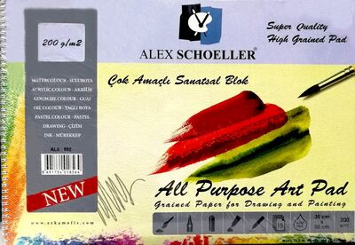 Alex Scholler Çok Amaçlı Sanatsal Çizim Defteri (35x50) 200gr.15 Sayfa - 1