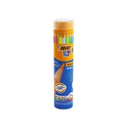 Bic Evolution Kuru Boya Kalemi 12+1 Renk Metal Tüp - Bic