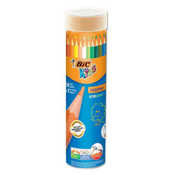 Bic Evolution Kuru Boya Kalemi 24+1 Renk Metal Tüp - Bic