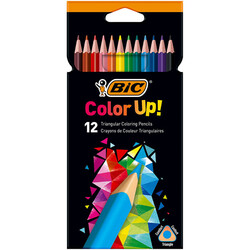 Bic İntensity Kuru Boya Kalemi 12 Renk - Bic