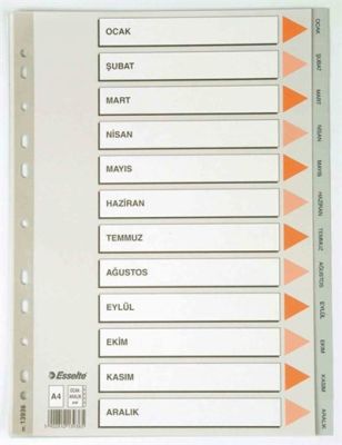 Esselte Separatör A4 Aylar - 1