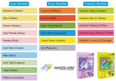 Spectra Color Renkli Fotokopi Kağıdı A4 80gr - 1 Koli (5 pk x 500 sy.) - 1